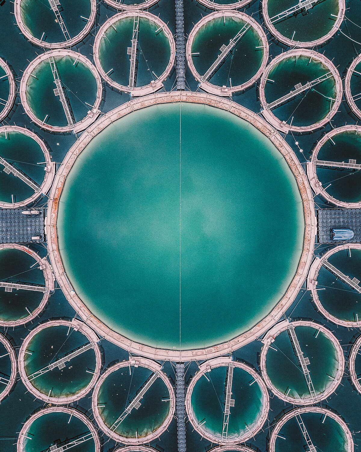 Optimizing shrimp and fish performance and sustainability through improved aquatic environments