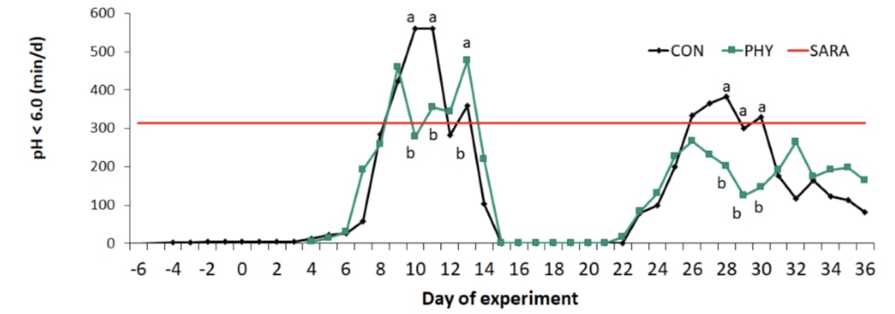 Rumen Acidosis Experiment