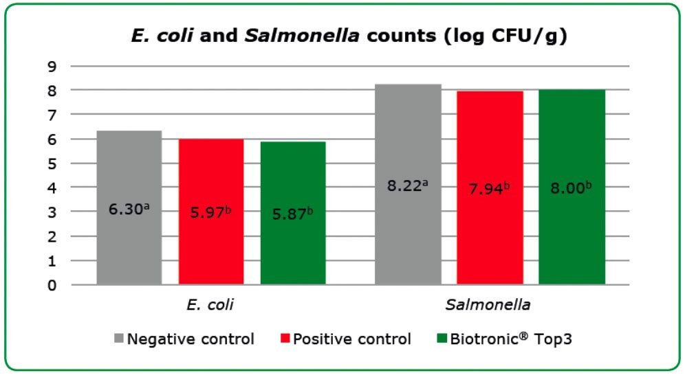 Auszählung von E. coli und Salmonellen