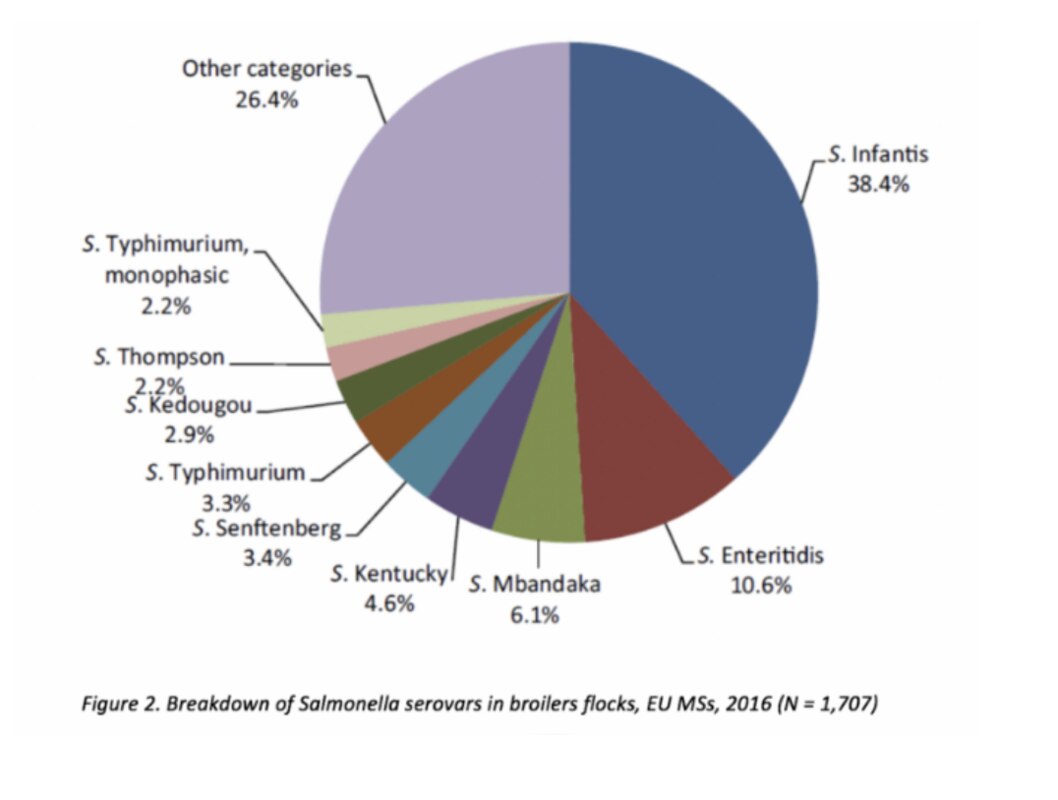 Abbildung 1. Aufschlüsselung der Salmonella-Serovare in Masthähnchenherden, EU-Mitgliedstaaten, 2016 (N = 1.707) | Quelle: EFSA 2016