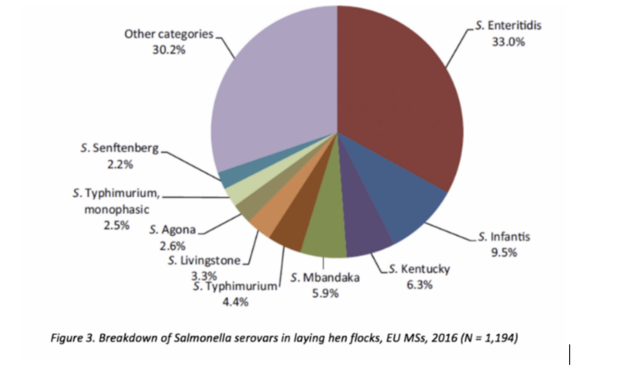 Abbildung 2. Aufschlüsselung der Salmonella-Serovare in Legehennenherden, EU-Mitgliedstaaten, 2016 (N = 1.194) | Quelle: EFSA 2016