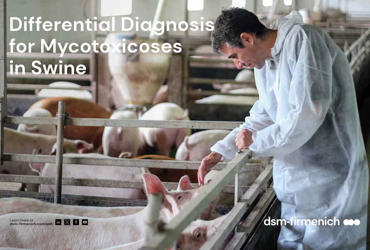 Differentialdiagnose für Mykotoxikosen bei Schweinen PDF