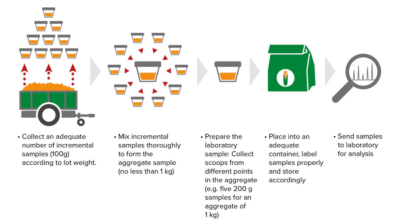 Abbildung 1: die grundlegenden Schritte für ein erfolgreiches Probenahmeverfahren