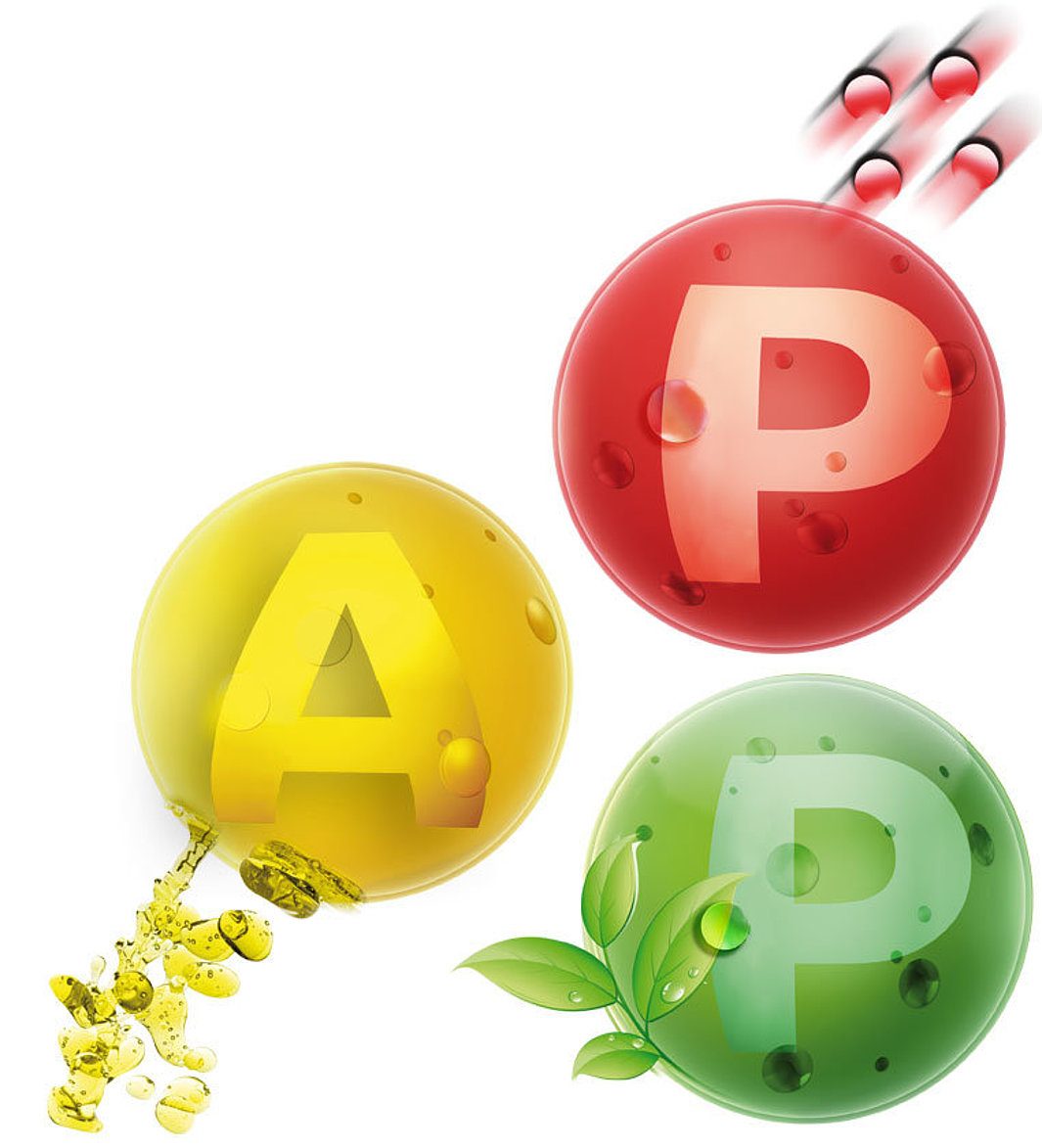 Biotronic® Anwendung