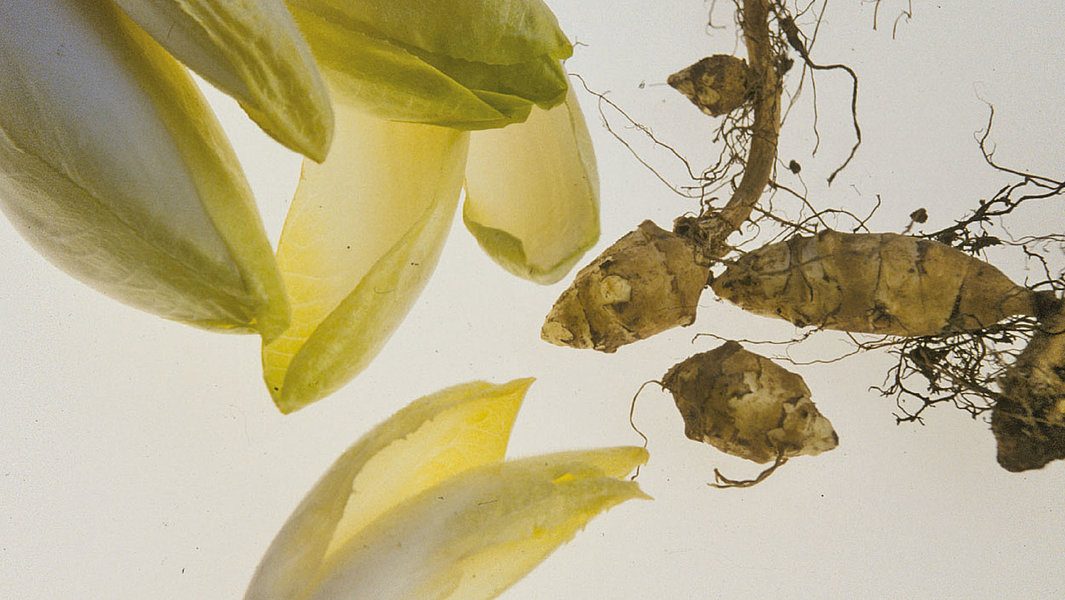 präbiotische Quelle