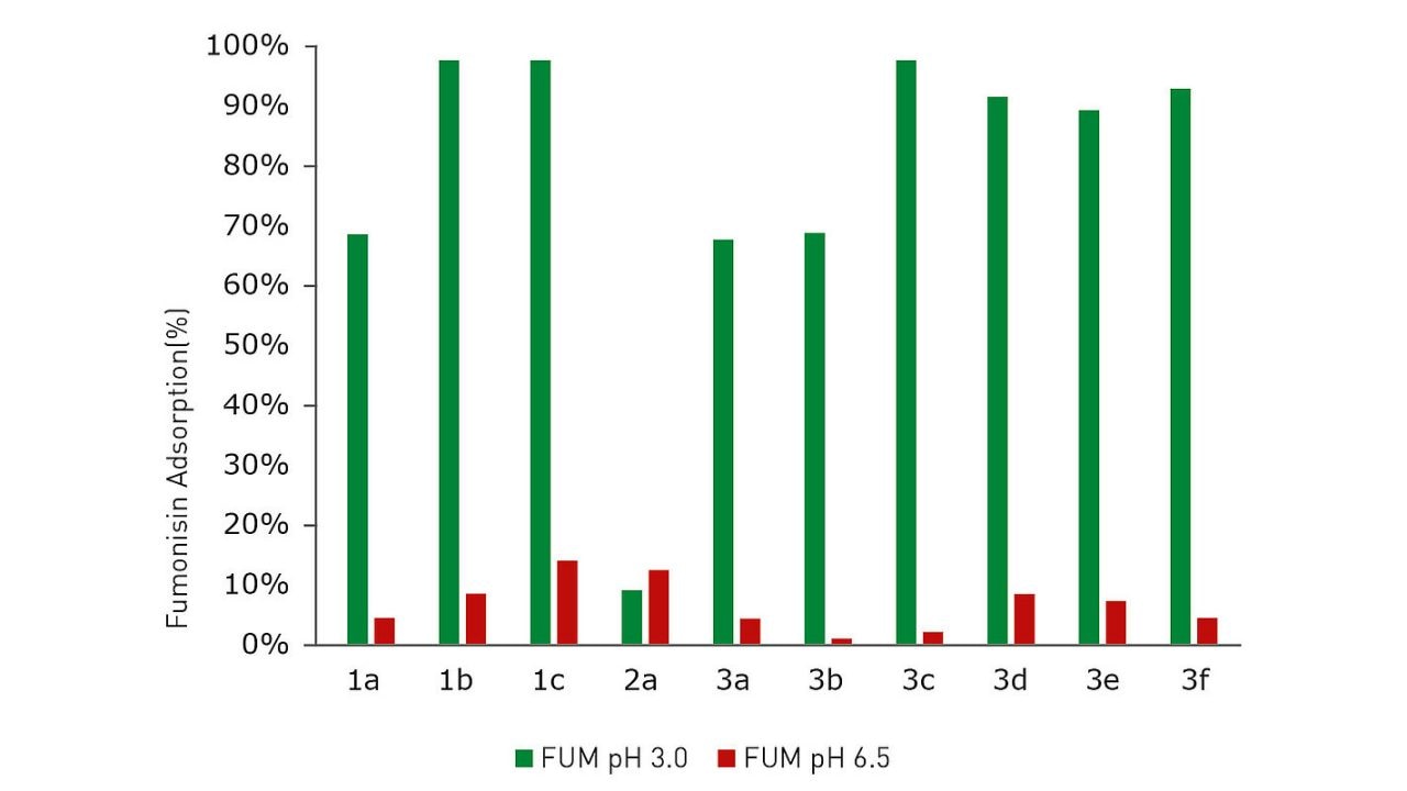 pH-Abhängigkeit der Adsorption von Fumonisin