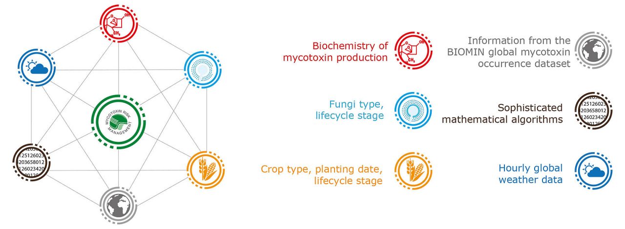 Mykotoxin-Vorhersage-Tool - Wie funktioniert die Vorhersage?
