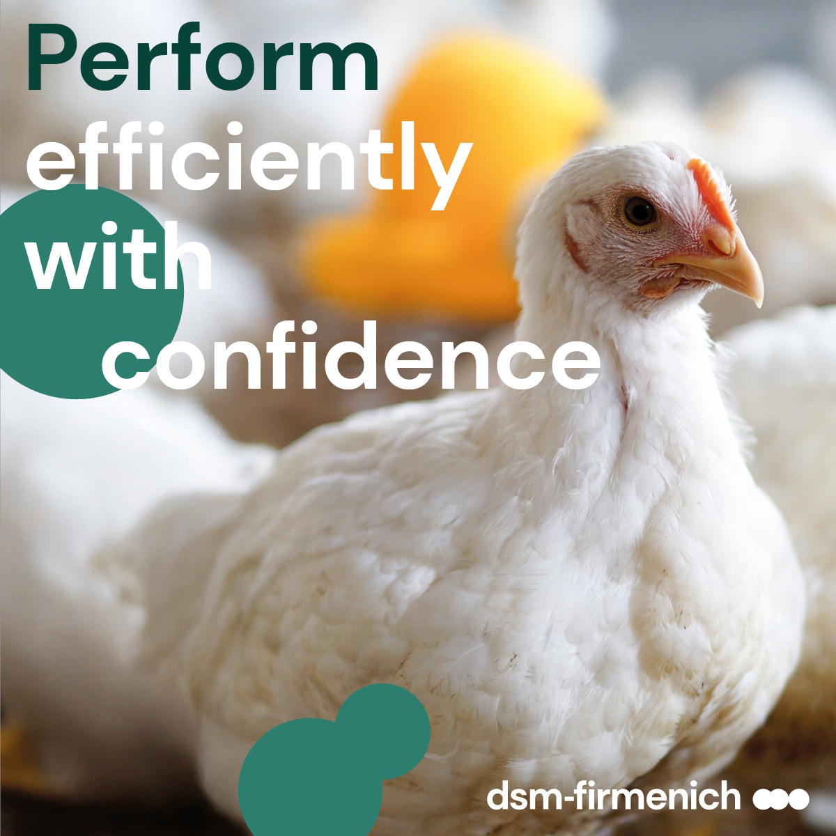 Effiziente Leistung mit Vertrauen