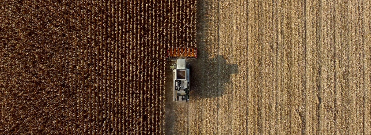 How Environmental Product Declarations Support Feed and Animal Protein Producers on their Sustainability Journey