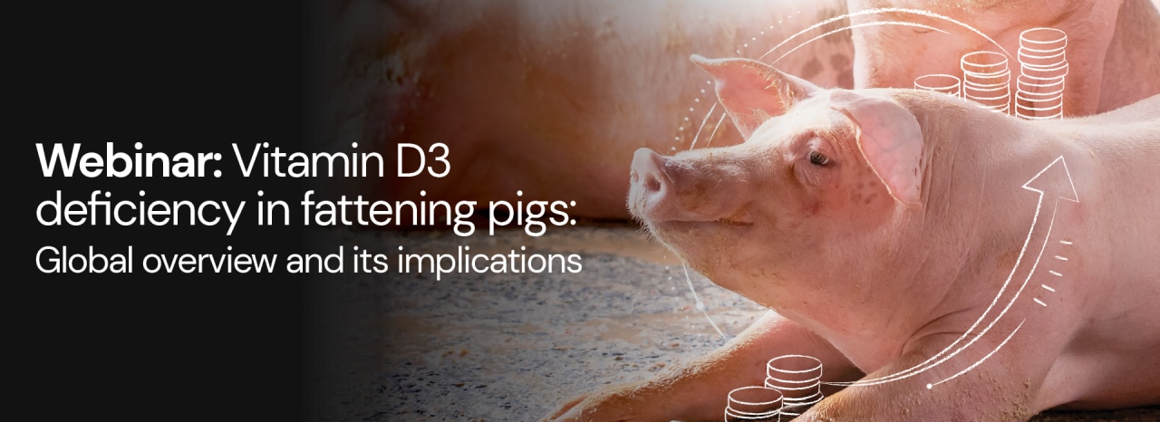 Vitamin D3 deficiency in fattening pigs: Global overview and its implications