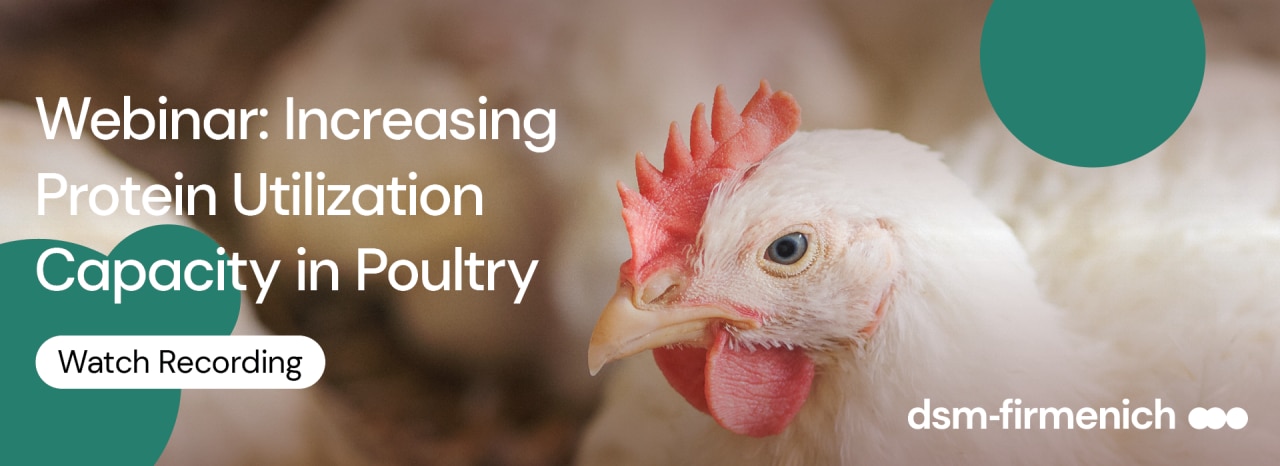 webinar-protein-poultry