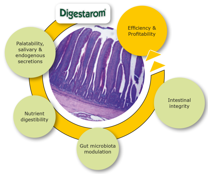 Digestarom_Effects