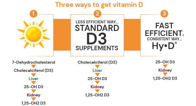 infographic 3