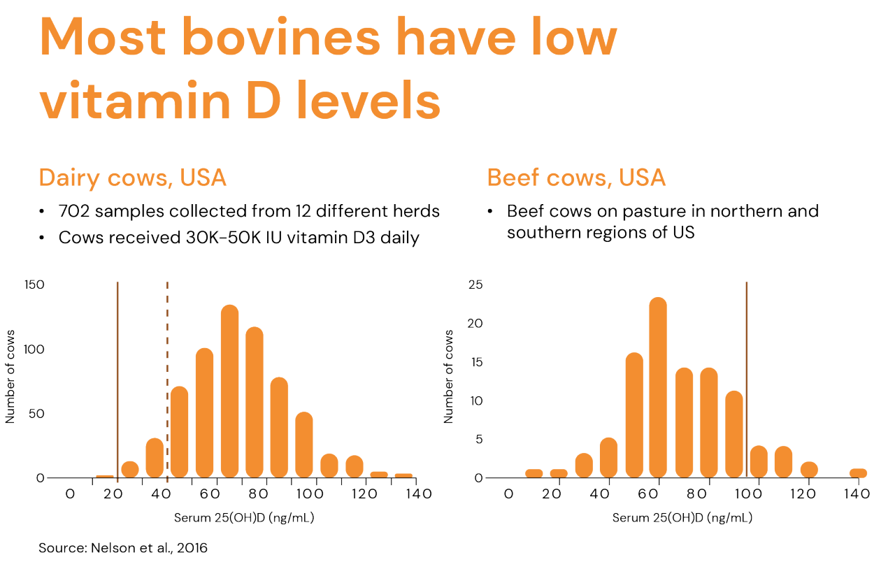 infographic 2