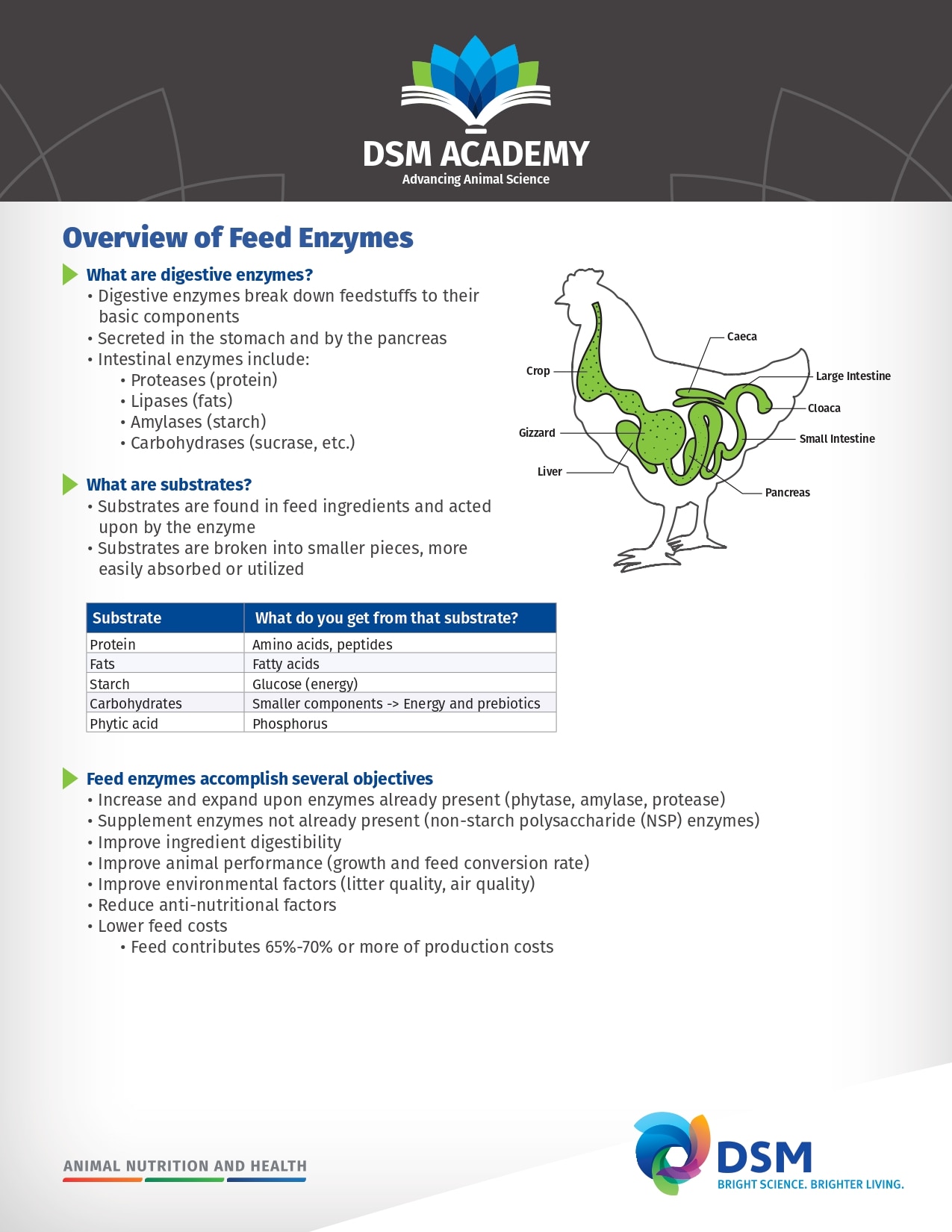 Feed Enzymes Summary