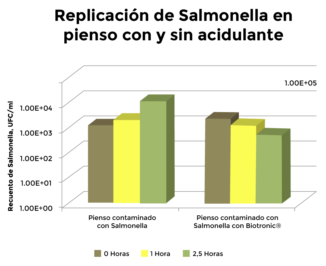 Acidificantes en el pienso