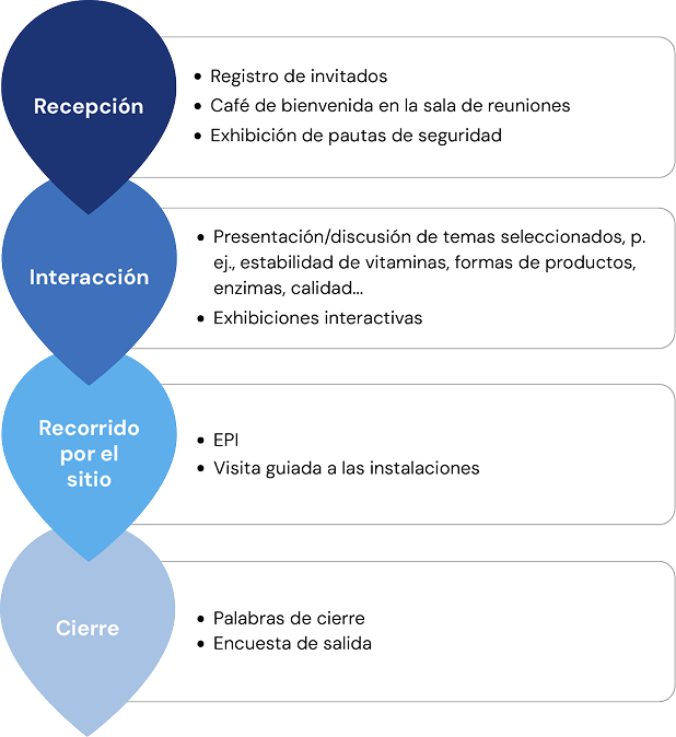 La imagen muestra un diagrama de flujo vertical de un proceso dividido en cuatro etapas principales: "Recepción", "Interacción", "Recorrido por el sitio" y "Cierre", cada una con un listado de actividades clave. La etapa de "Recepción" incluye el registro de invitados, un café de bienvenida y la exhibición de pruebas de seguridad; la "Interacción" abarca la presentación y discusión de temas como la estabilidad estructural, formas de precheteos, ensayos y calidad, además de la exhibición de muestrarios de materiales; el "Recorrido por el sitio" detalla el uso de EPI y la visita guiada a las instalaciones; finalmente, el "Cierre" comprende las palabras de despedida y una encuesta de salida, presentando de manera clara y estructurada las fases de un evento o visita.
