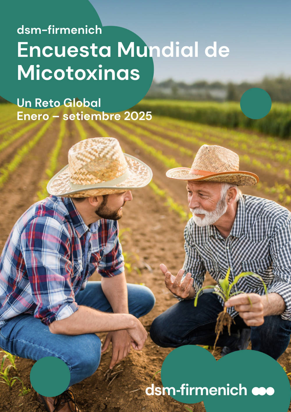 Encuesta Mundial de Micotoxinas dsm-firmenich: Enero - Septiembre 2025
