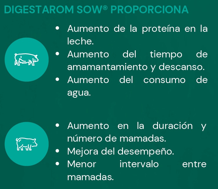 49 Matrizes em dieta controle e 44 Matrizes em dieta controle + suplementação com 150g/ton Digestarom Sow®