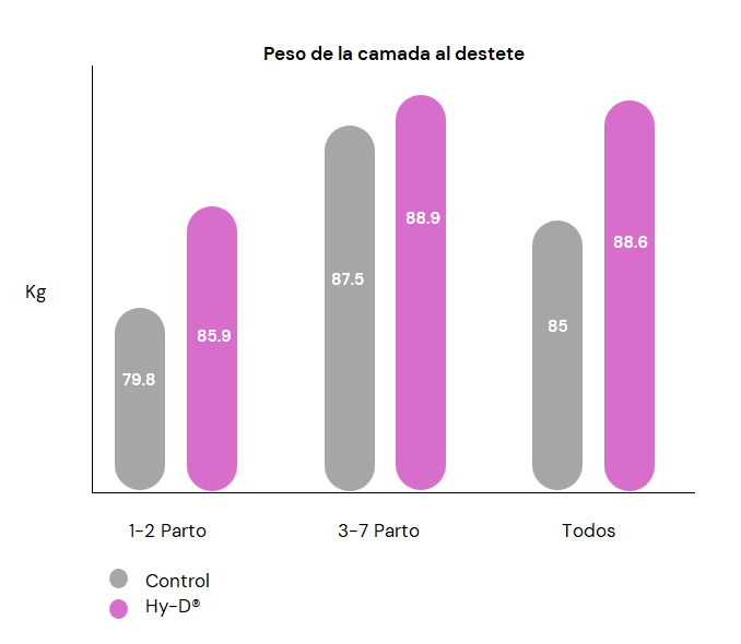 Gráfico 1: Peso de la camada al destete en los grupos control y Hy-D®. Se observó un mayor aumento en las cerdas más jóvenes (1-2 partos).