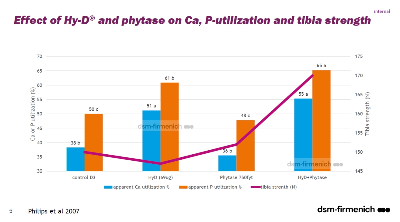 Figura 1: Melhorias na utilização de Ca e P (%) e na resistência da tíbia, entre os grupos de tratamento: controle, D3, fitase Hy-D + fitase.