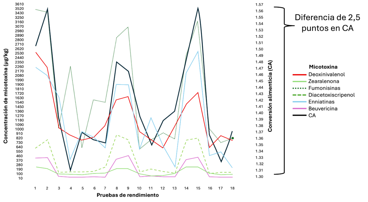 Figura 5. Diferencia entre la CA (línea negra) en contaminaciones altas y bajas de micotoxinas (líneas de color) en pollos de engorde (Adaptado de Kolawole et al., 2020).