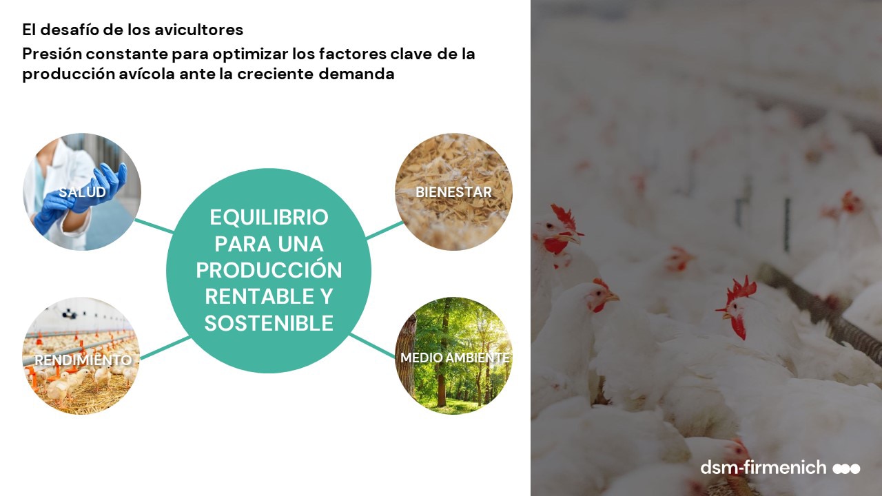 Equilibrio entre producción rentable y producción sostenible