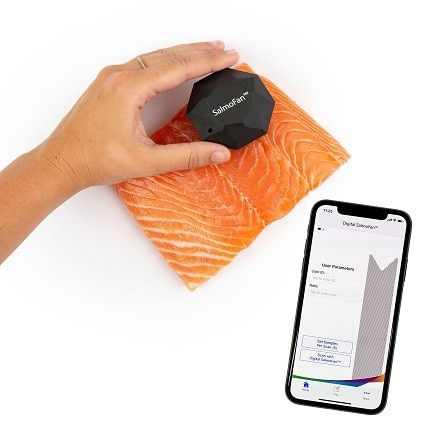 Salmon Fan Scale Ruler For Color Salmofan Color Chart Measuring The Color Of Salmon In Fish Products