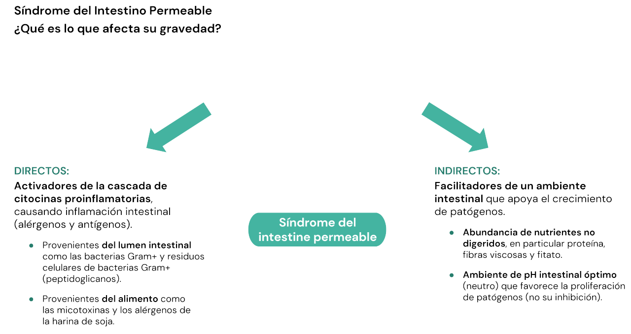IMG_PIGLET CARE_FuncionalidadGastrointestinal_ES
