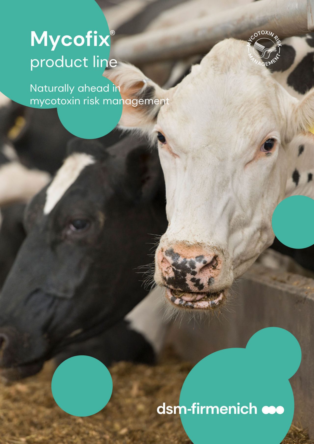 Brochure: Mycofix® for ruminants