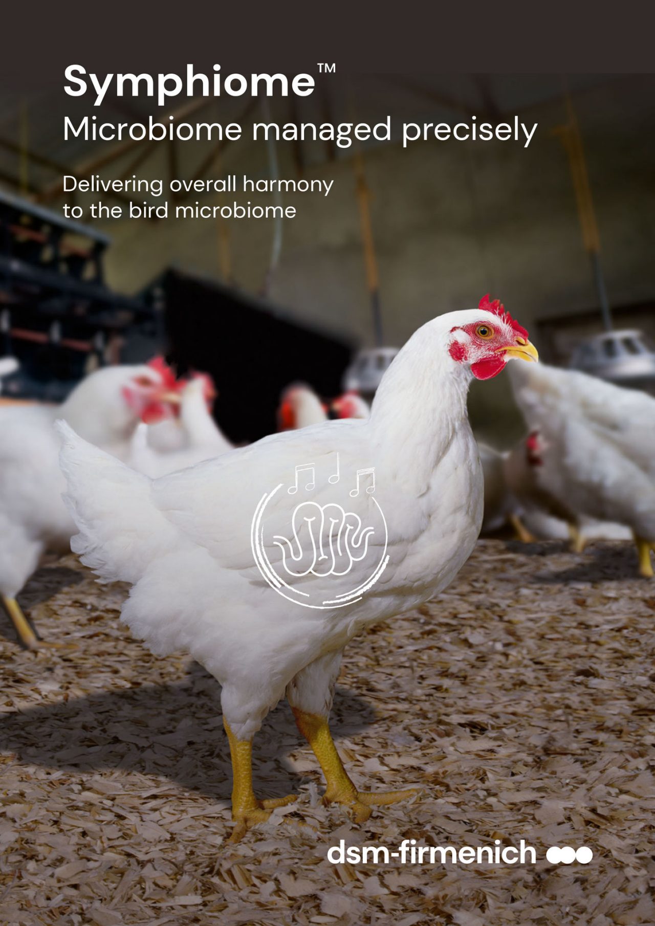 Unlock Harmony in Poultry Gut Health with Symphiome™
