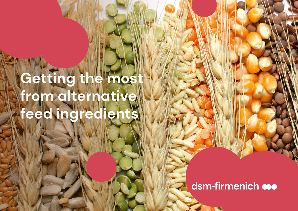 Optimizing the value of Alternative Feed Ingredients with comprehensive mycotoxin analysis
