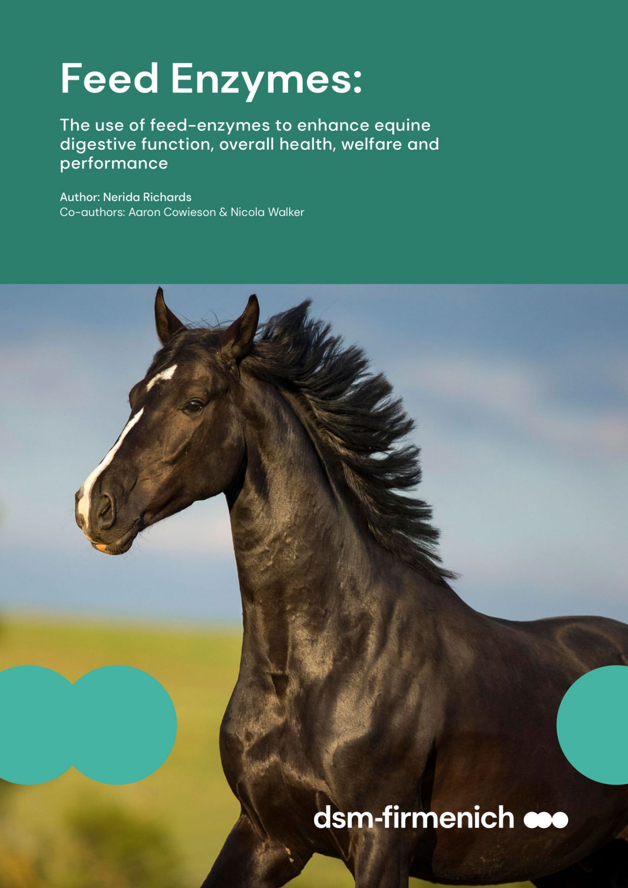 The use of feed-enzymes to enhance equine digestive function, overall health, welfare and performance [white paper]