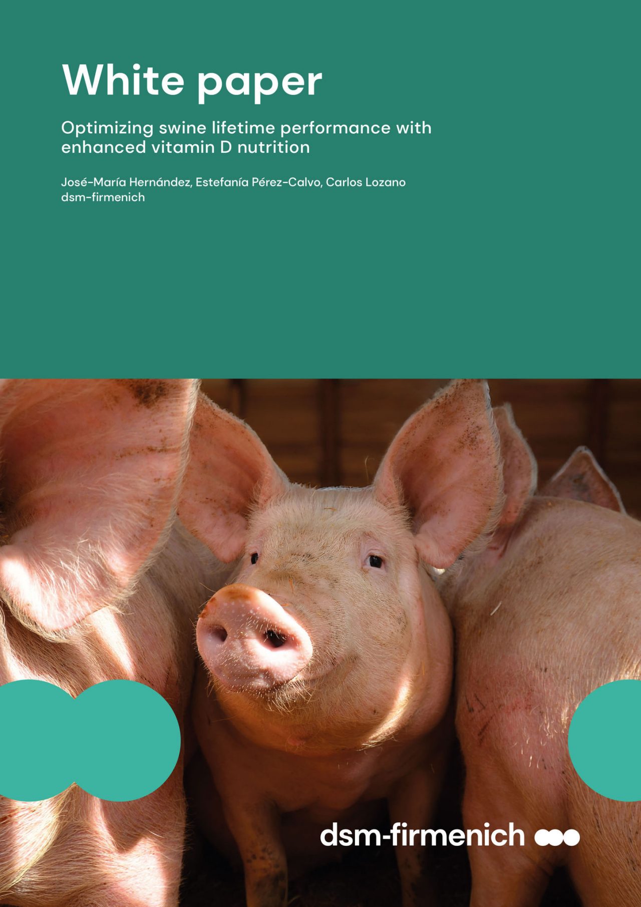 Optimizing swine lifetime performance with enhanced vitamin D nutrition