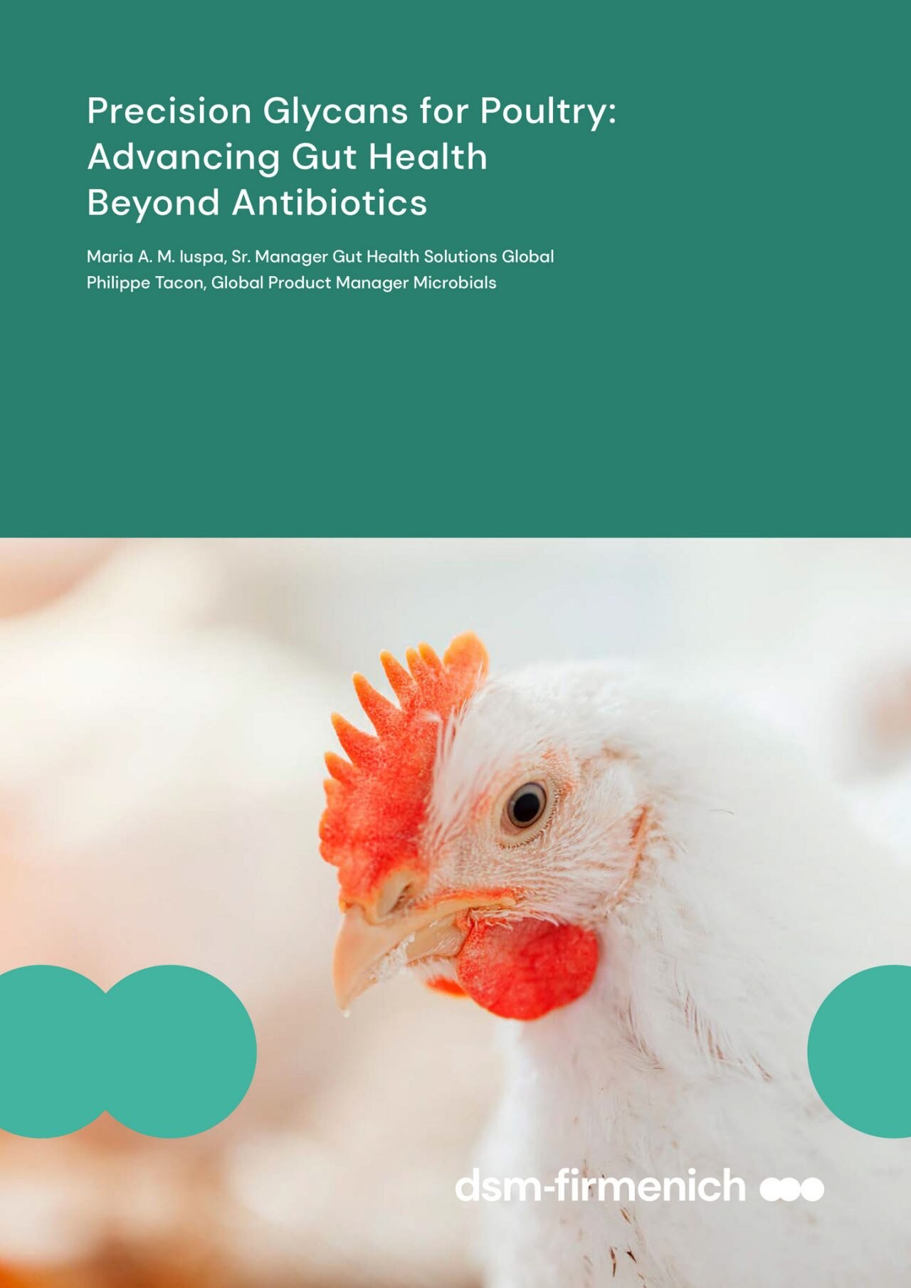Precision Glycans for Poultry: Advancing Gut Health Beyond Antibiotics [white paper]