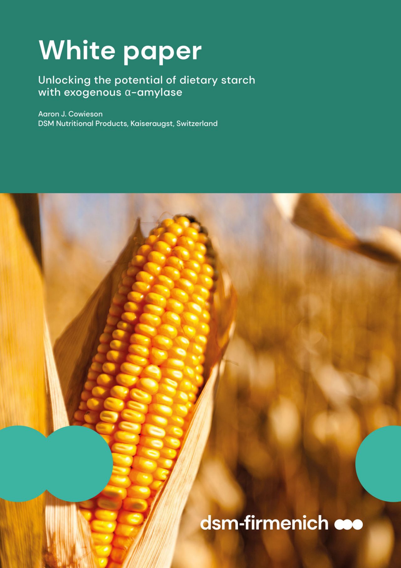 Unlocking the potential of dietary starch with exogenous α-amylase
