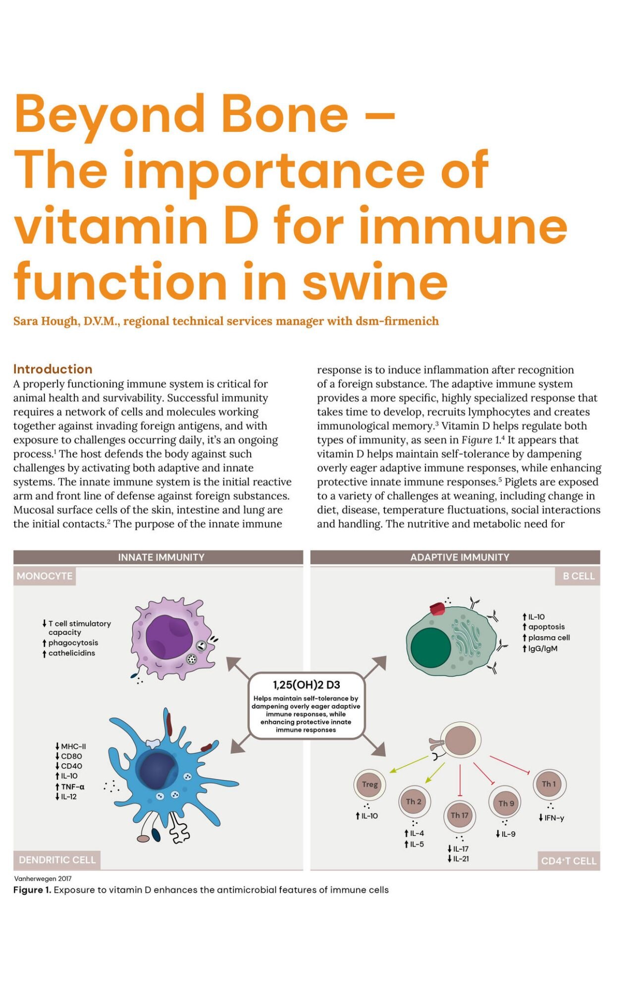 Beyond Bone – The importance of vitamin D for immune function in swine