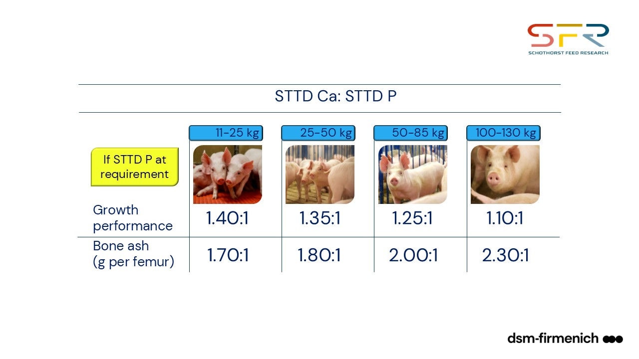 Figure 3. Optimal ratios of STTD Ca:STTD P in corn-soybean meal-based diets for pigs of different ages, when P is at the requirement level14,15,16.