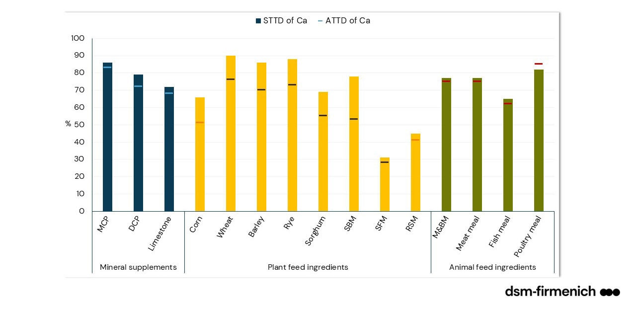 Figure 1. Variation in values of STTD of Ca and ATTD of Ca across different feed raw materials.  Generated based on data from Lee et al. (2023)9.