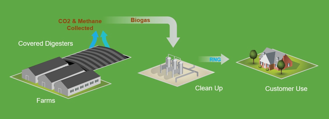 Figure 3. Methane is collected and converted to natural gas which is then used by consumers (Source: Smithfield, 2023)