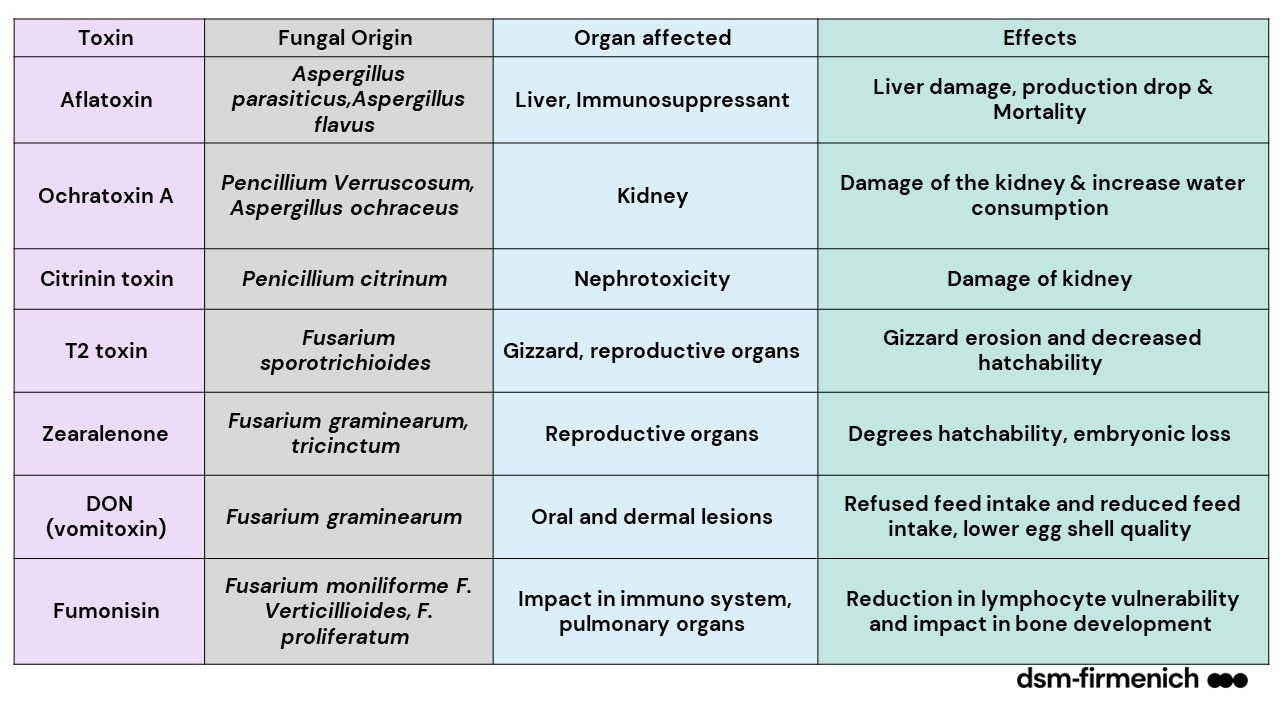 Table 1: A summary of the major mycotoxins which affect poultry