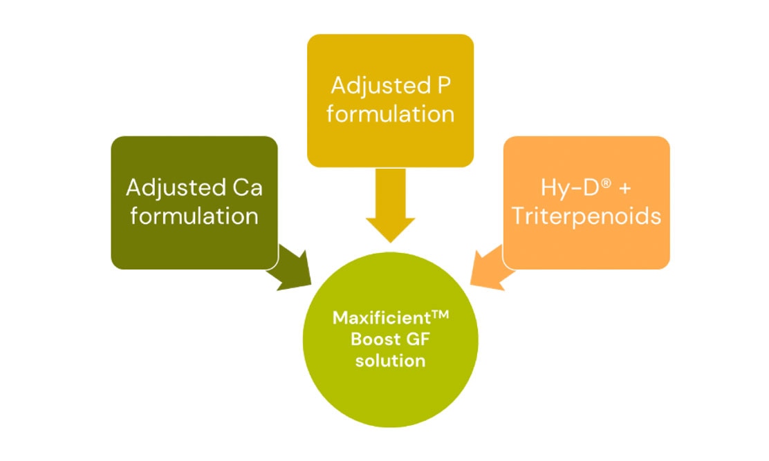 Figure 3. MaxiFicient™ Boost GF solution