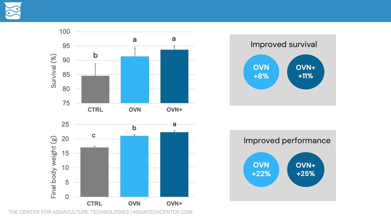 Figure 1. Performance improvement in shrimp diets using OVN Optimum Vitamin Nutrition® and OVN+ (ISFNF 2024)