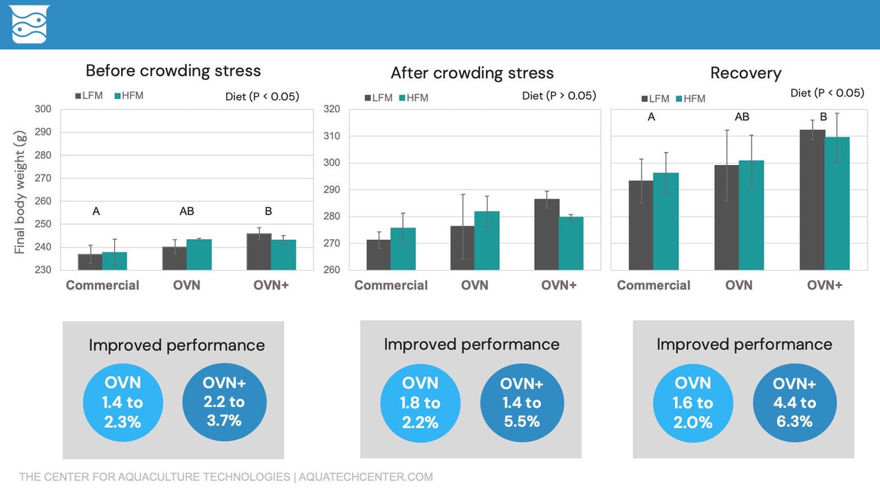 Figure 3. Performance improvement in rainbow trout diets using OVN Optimum Vitamin Nutrition® and OVN+ (ISFNF 2024)