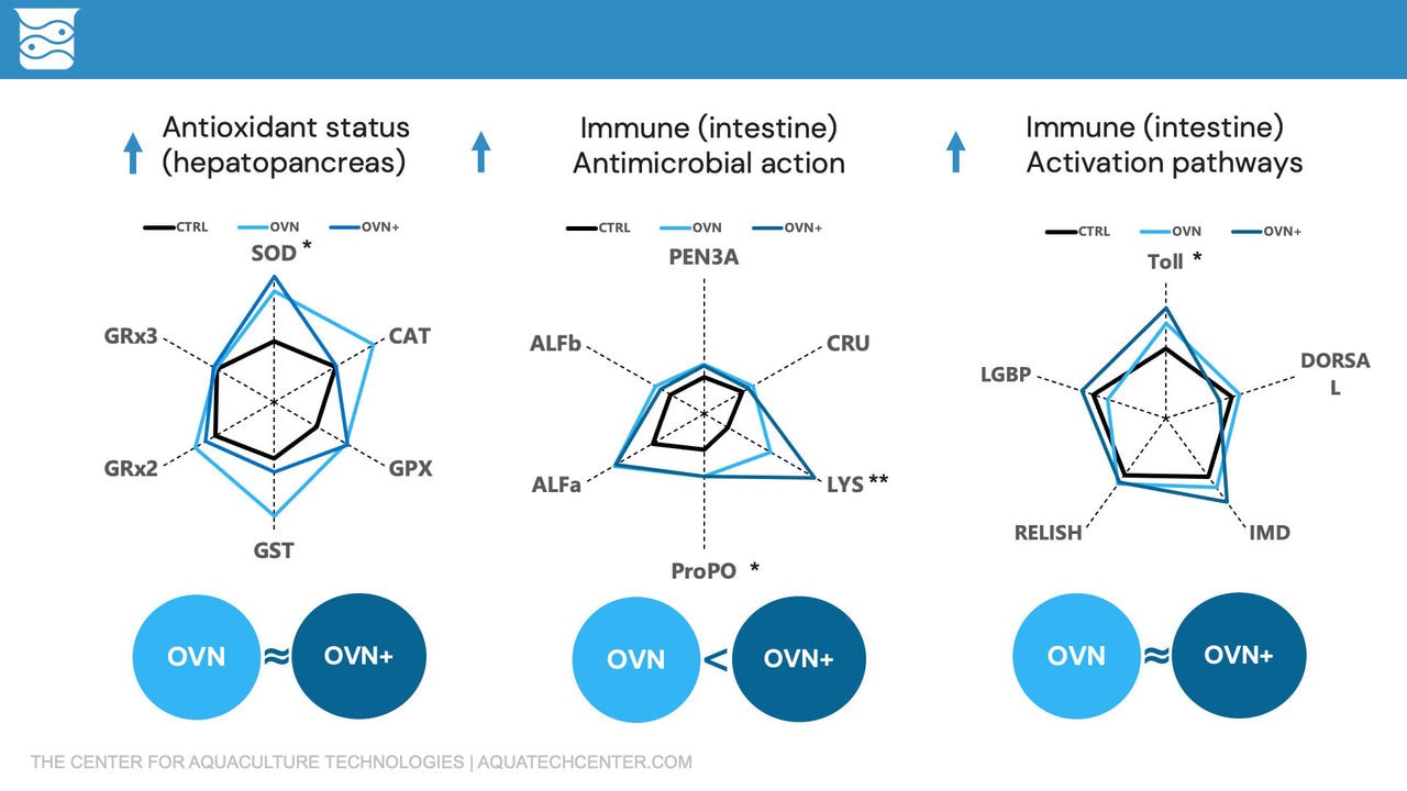 Figure 2. Antioxidant and immune status in shrimp using OVN Optimum Vitamin Nutrition® and OVN+ diets (ISFNF 2024)