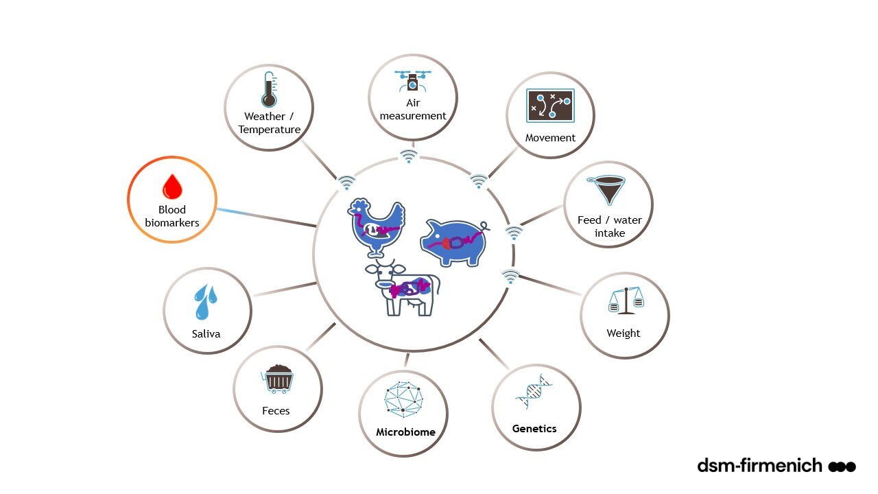 Figure 2. Precision animal farming requires inputs from a wide range of sources (Source: dsm-firmenich, 2023)