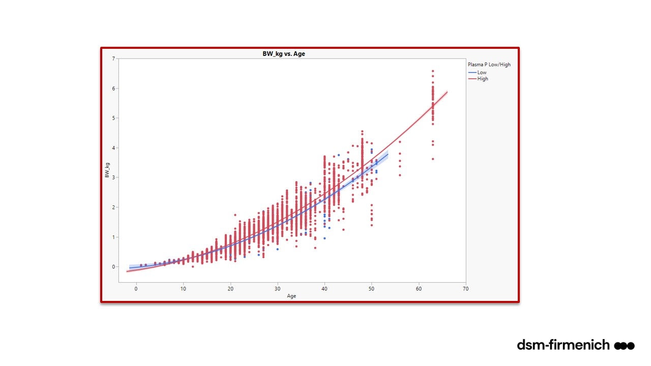 Figure 5. Body weight over time in birds with high (red line) or low (blue line) levels of plasma phosphorus (Source: dsm-firmenich, 2023)
