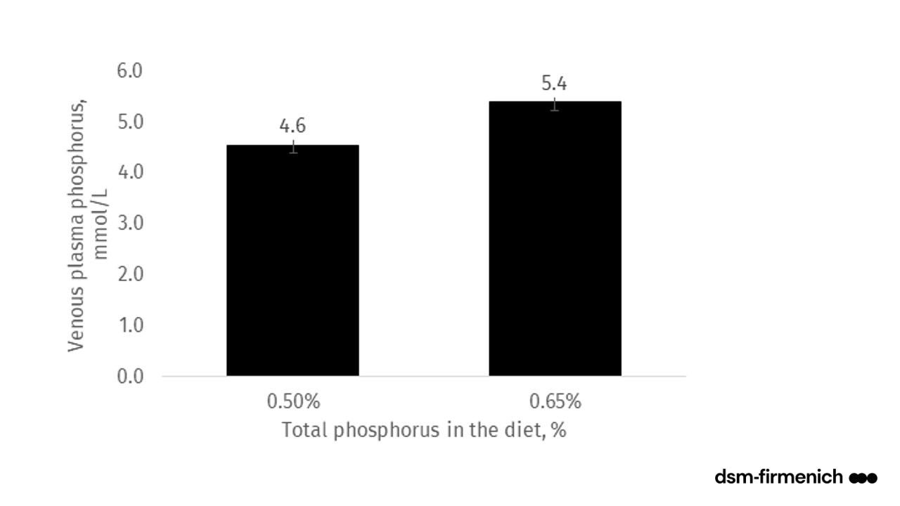 Figure 7. Relationship between dietary phosphorus and blood phosphorus in broilers (Source: Walk et al., 2022)