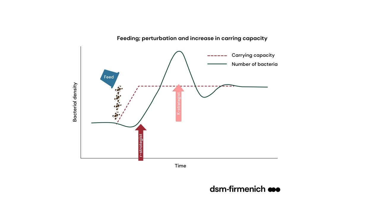 Figure 1. Cell membrane protection involves an antioxidant network with individual antioxidants protecting specific niches. 