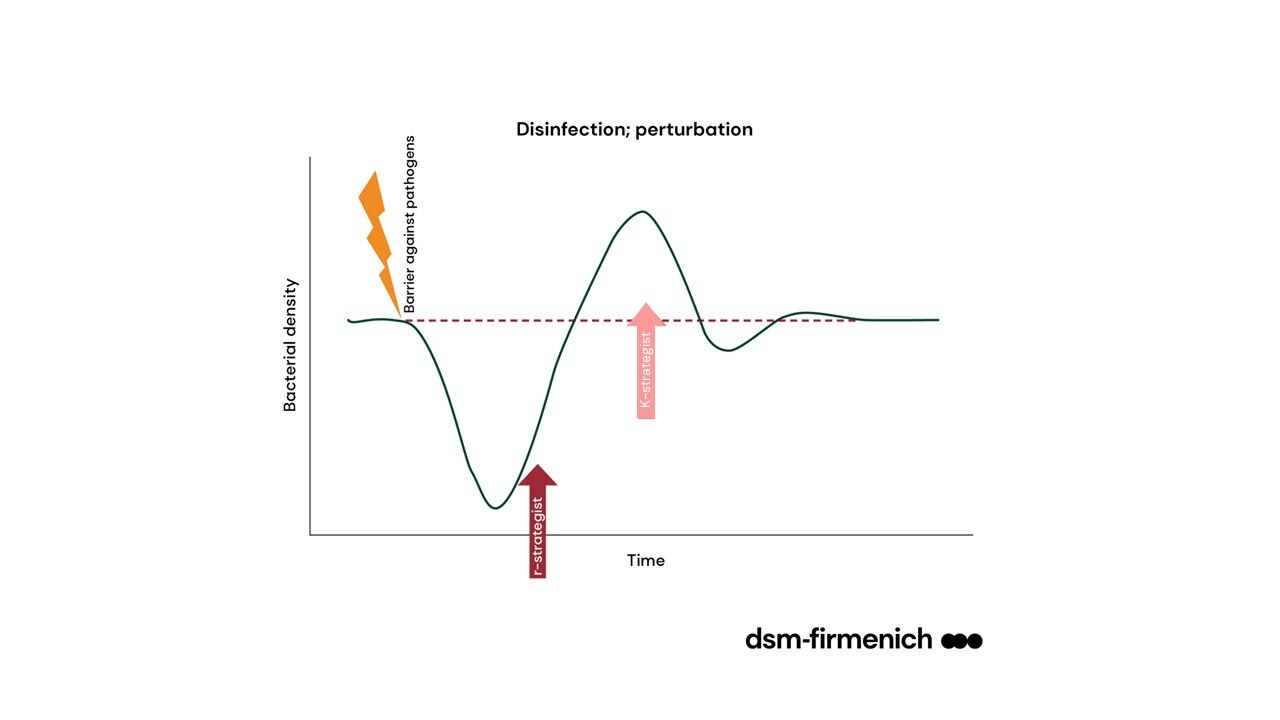 Figure 1. Cell membrane protection involves an antioxidant network with individual antioxidants protecting specific niches. 